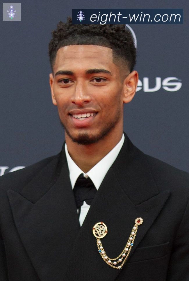 维尼修斯